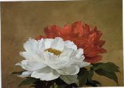 unknow artist, Still life floral, all kinds of reality flowers oil painting 34